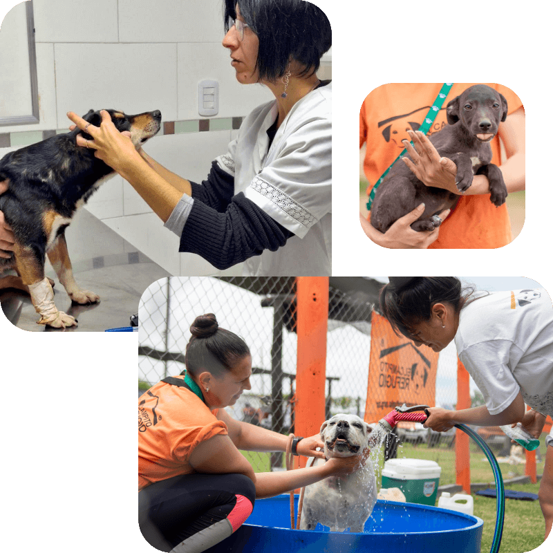 Campito Refugio Historia
