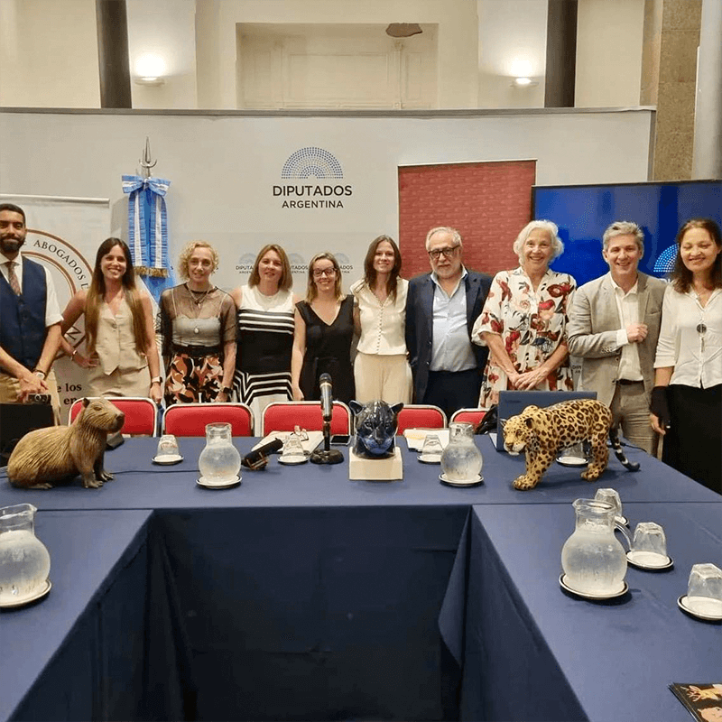 Campito Declaración Uruguay