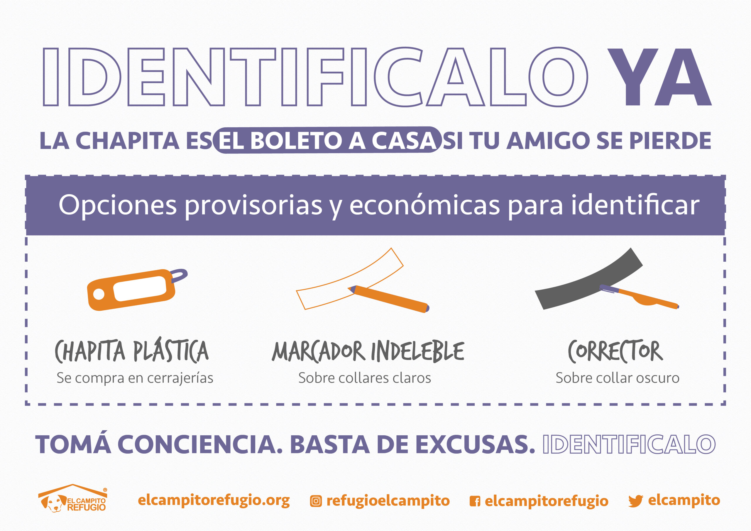 Cómo identificar a tu mascota