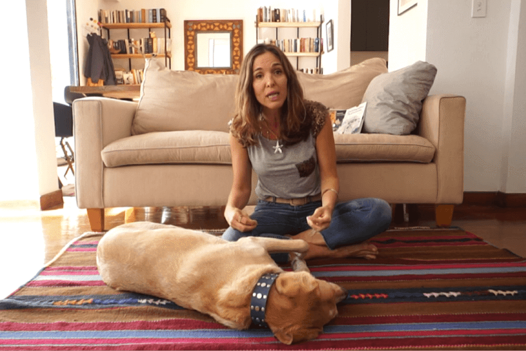 De lobos a compañeros