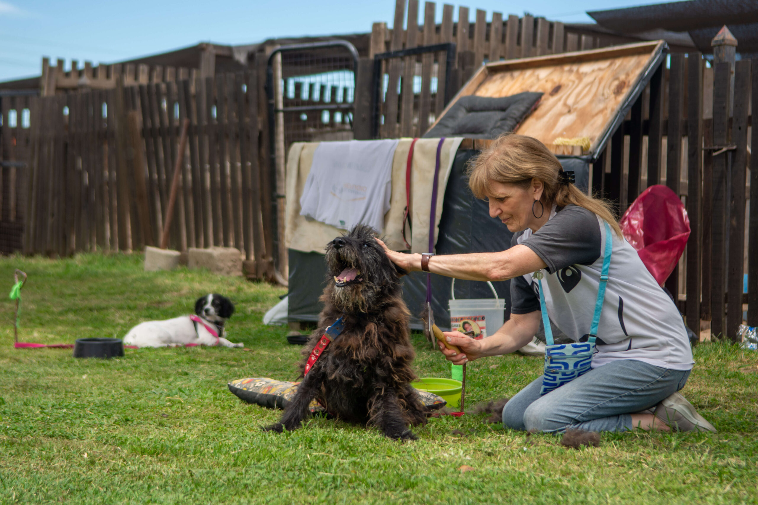 Castración: un acto de amor, responsabilidad y prevención