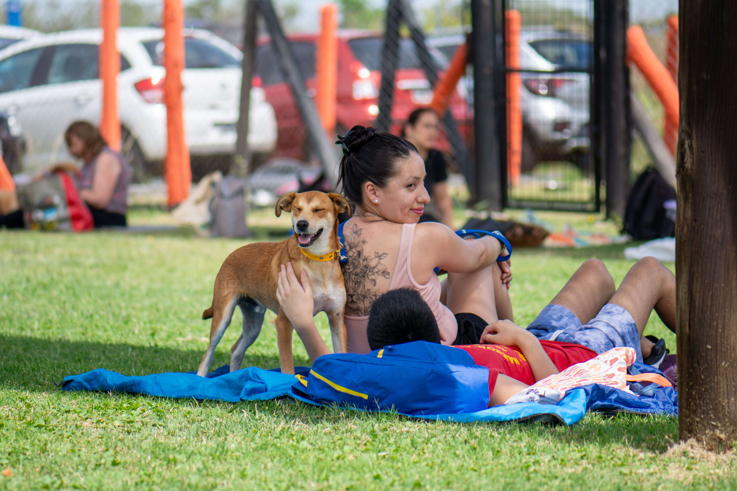 Derechos animales y políticas sociales: por qué necesitamos repensar nuestro vínculo con los animales (Clase 1)