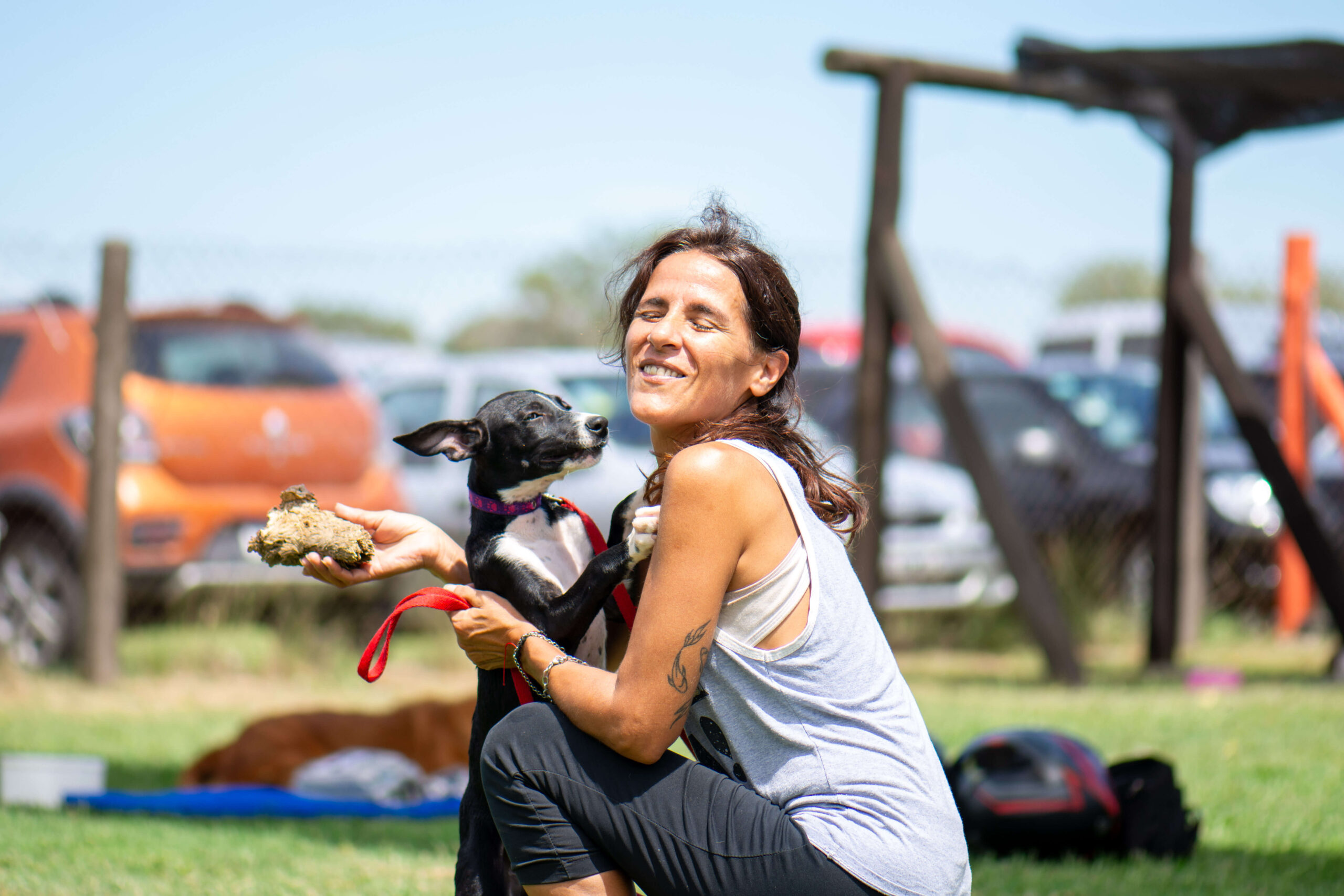 Hacia políticas sociales con perspectiva de derechos animales (Clase 3)