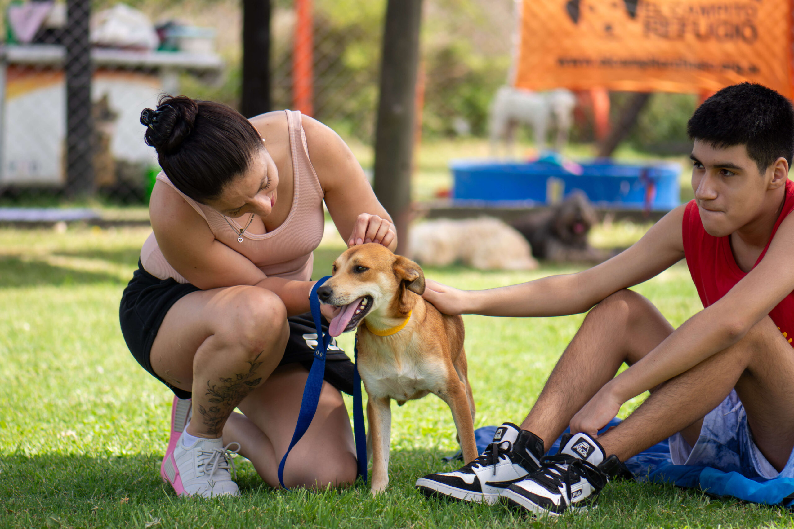 Hacia políticas sociales con perspectiva de derechos animales (Clase 4)