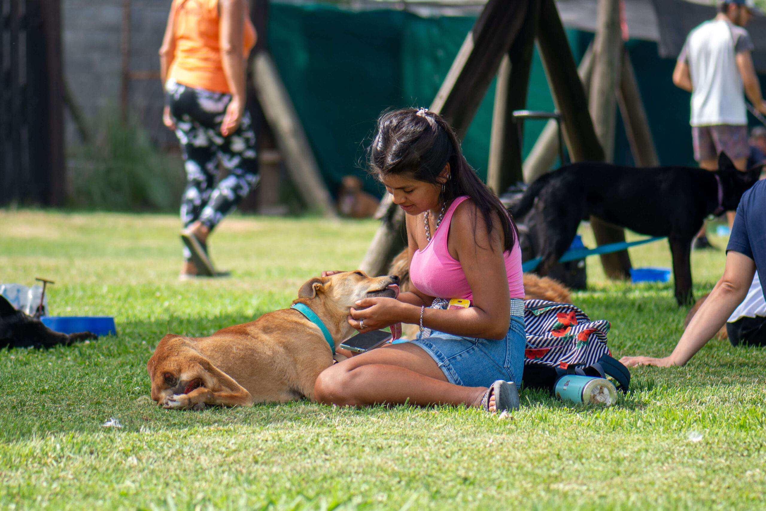 Hacia políticas sociales con perspectiva de derechos animales (Clase 5)