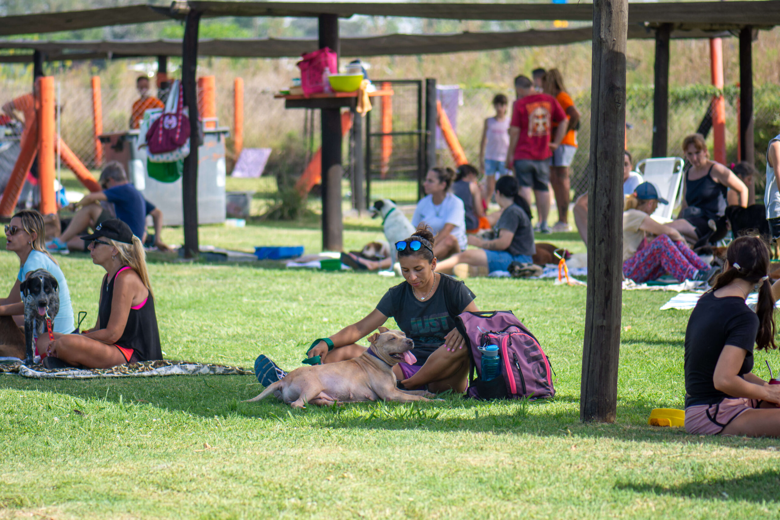 Hacia políticas sociales con perspectiva de derechos animales (Clase 6)