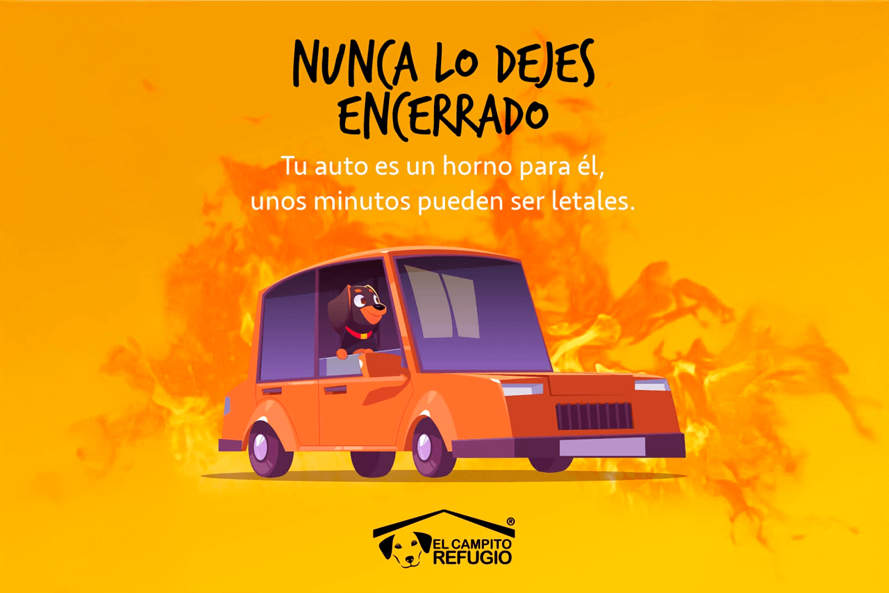 Un minuto en tu auto, una eternidad para él. Cuidados y consejos