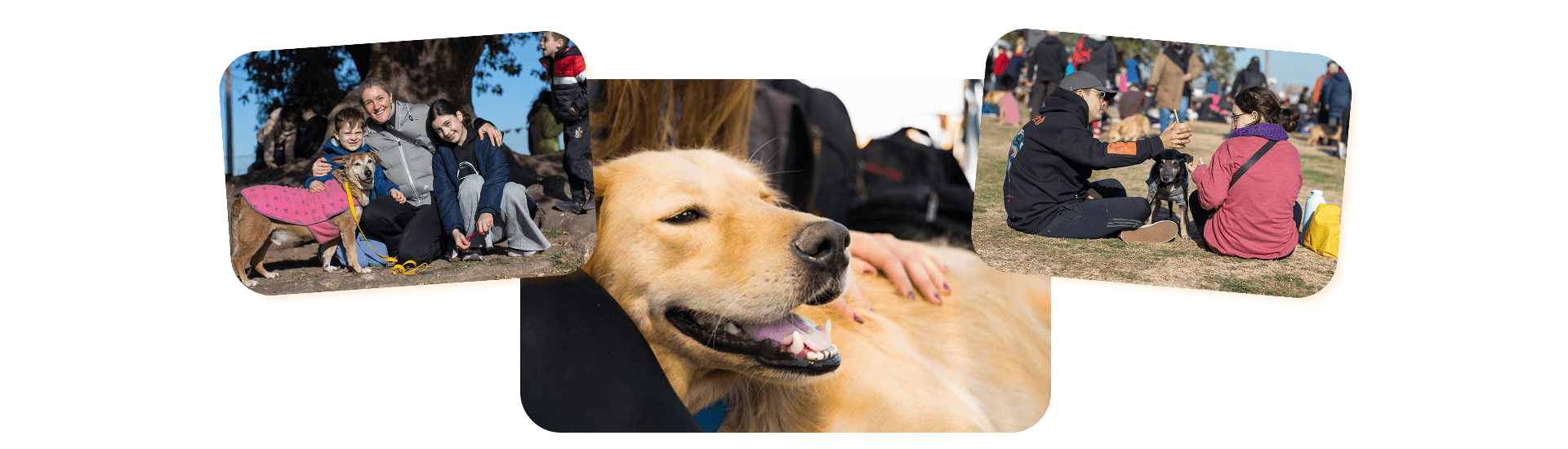 Visita Portada Campito Refugio