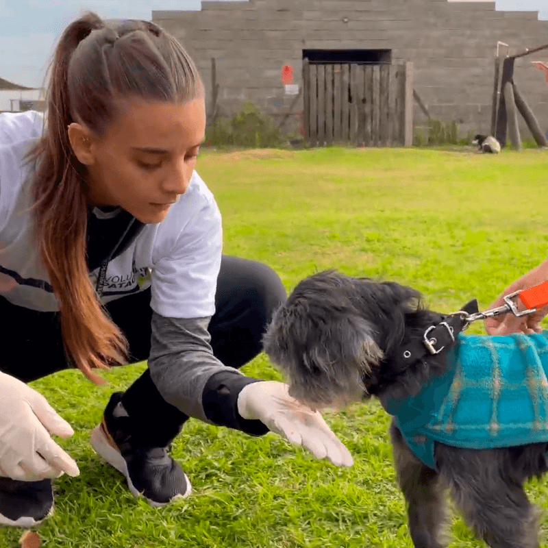 Campito Refugio Voluntariado Corporativo Banco Patagonia