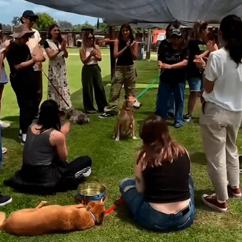 Campito Refugio Voluntariado Corporativo Ninch