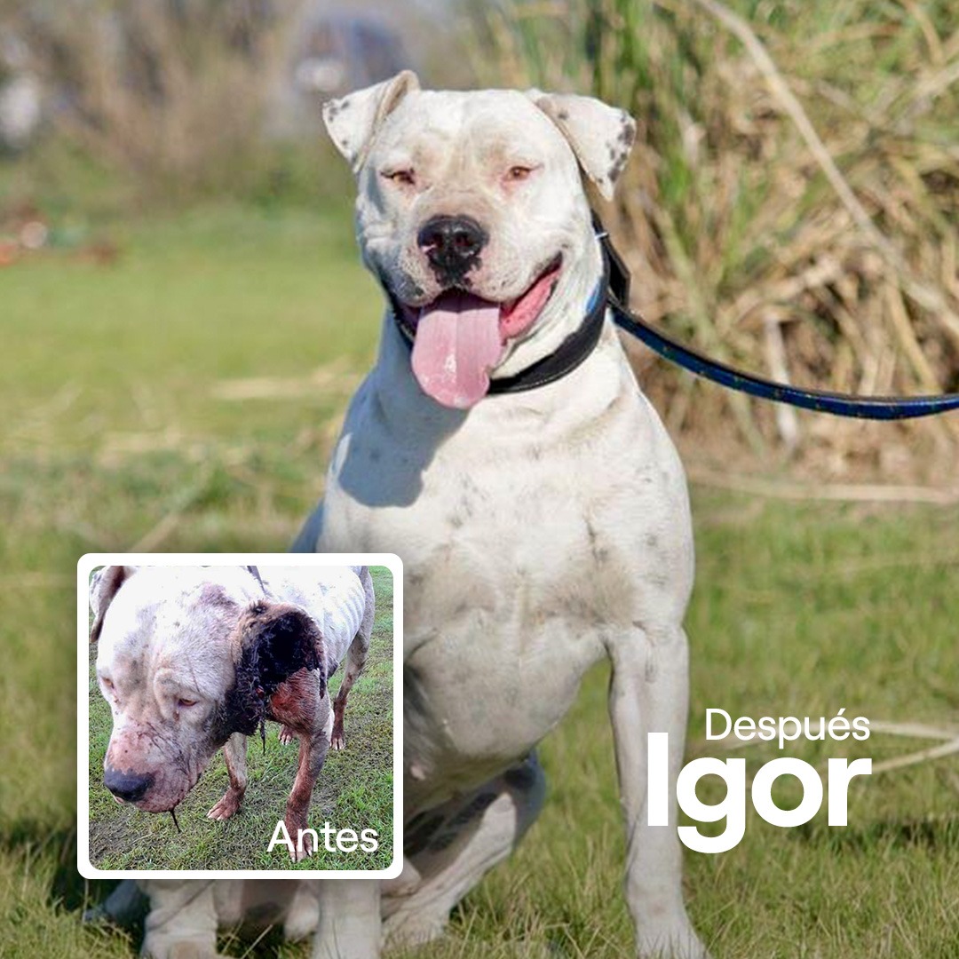 Donar transforma vidas - Igor