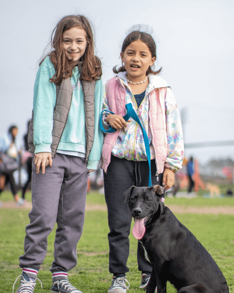 El refugio Campito de perros en Argentina