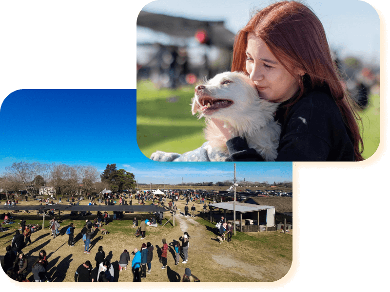 El refugio Campito de perros en Argentina