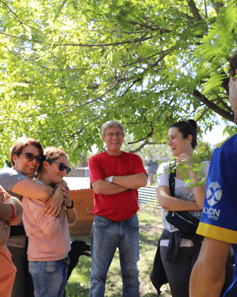 El refugio Campito de perros en Argentina