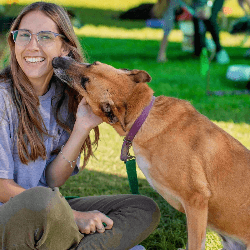 El refugio Campito de perros en Argentina