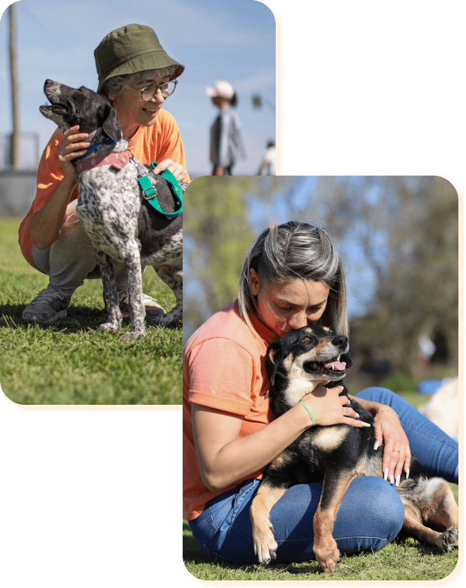 El refugio Campito de perros en Argentina